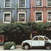 photo-1459515581694-46b4d817903b